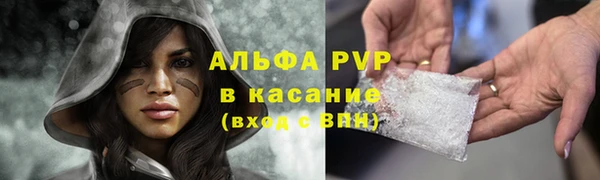 шишки Горнозаводск