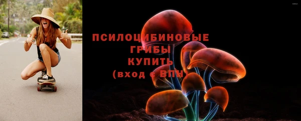 МДПВ Горно-Алтайск