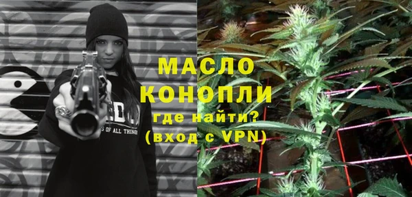 шишки Горнозаводск