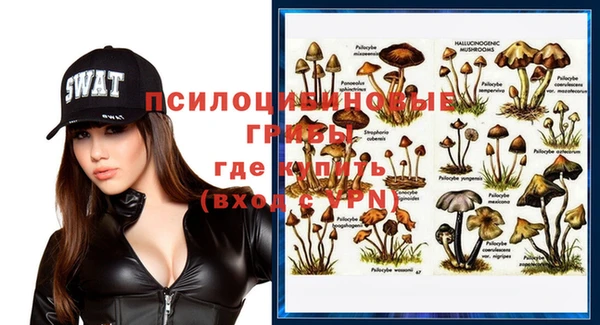 МДПВ Горно-Алтайск