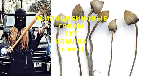 шишки Горнозаводск