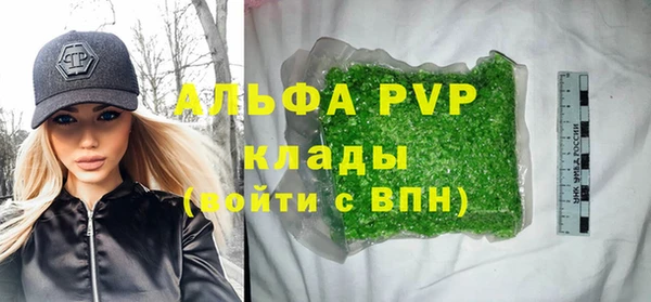 шишки Горнозаводск